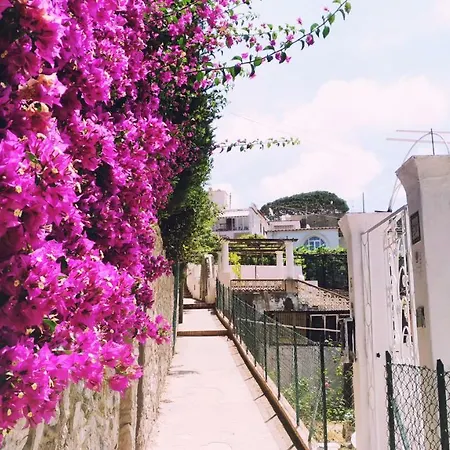 Gasthof Don Raffaé Capri
