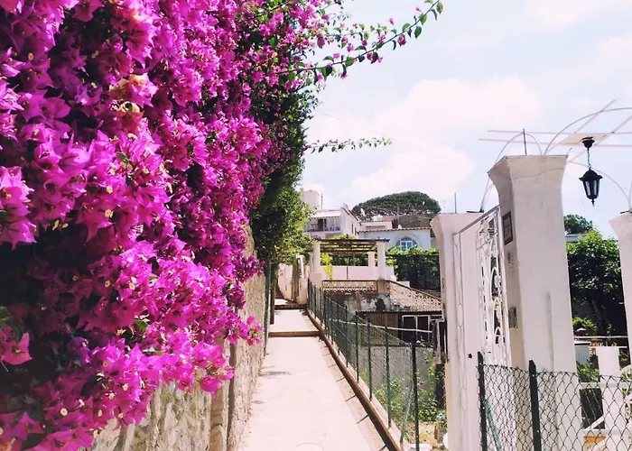 Гостевой дом Don Raffae Капри